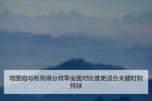 塔图姆与布克得分效率全面对比谁更适合关键时刻持球